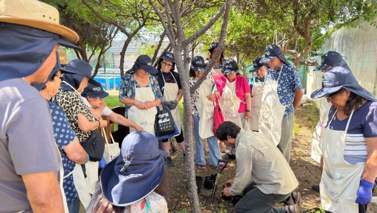 /adultos-mayores-participaron-en-programa-de-verano-del-jardin-botanico-de