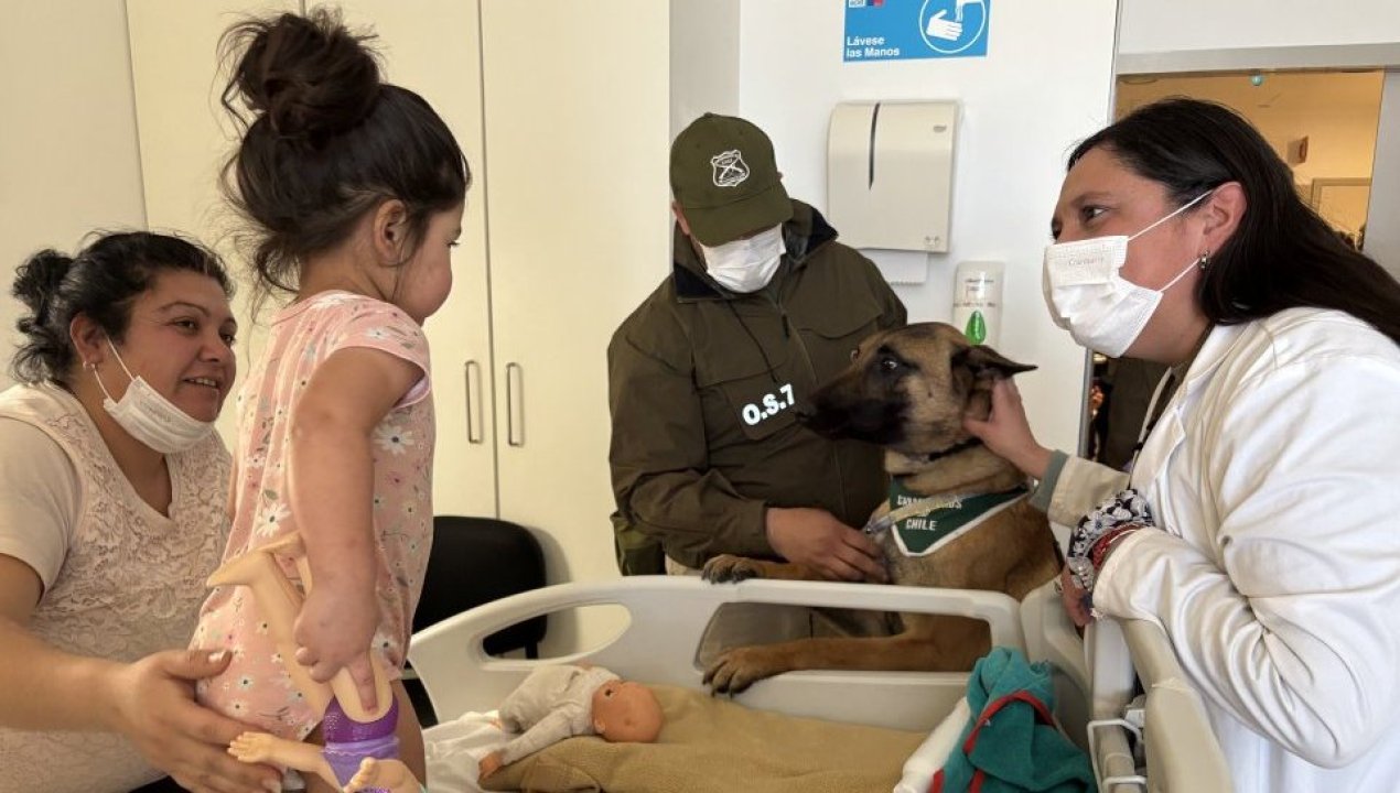 /hospital-de-ovalle-recibe-visita-de-dupla-canina-del-os7