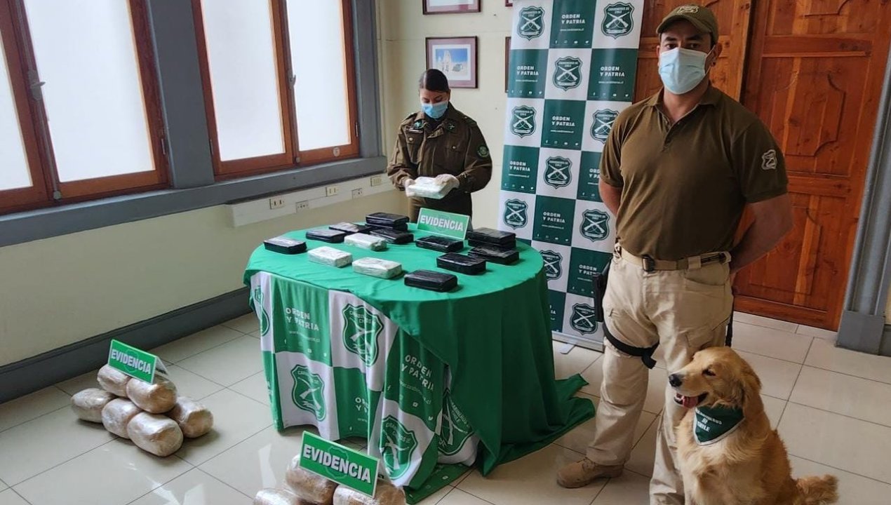 /regionales/region-de-antofagasta/antofagasta-carabineros-incauta-mas-de-230-millones-de-pesos-en-droga-en