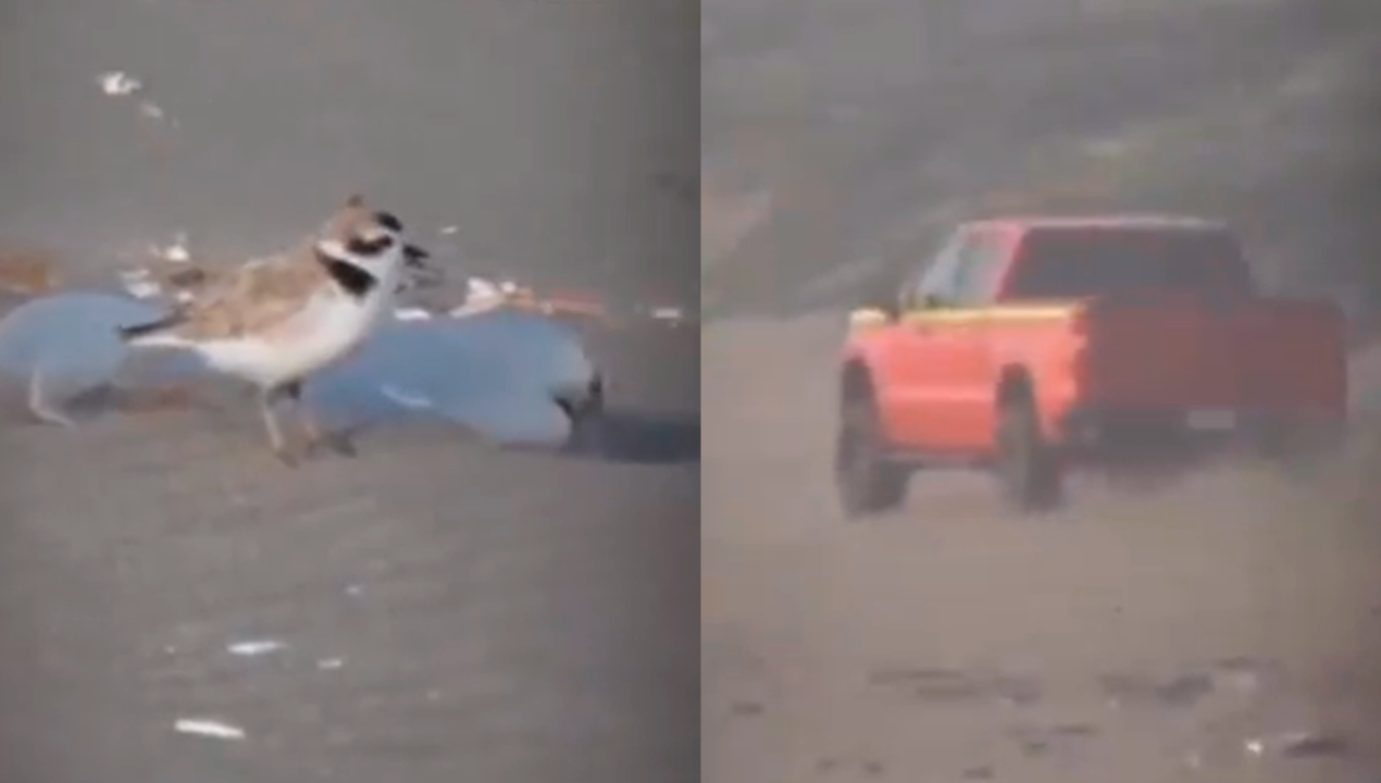 /regionales/region-de-valparaiso/armada-aumenta-fiscalizaciones-tras-paso-de-vehiculo-en-playa-ritoque