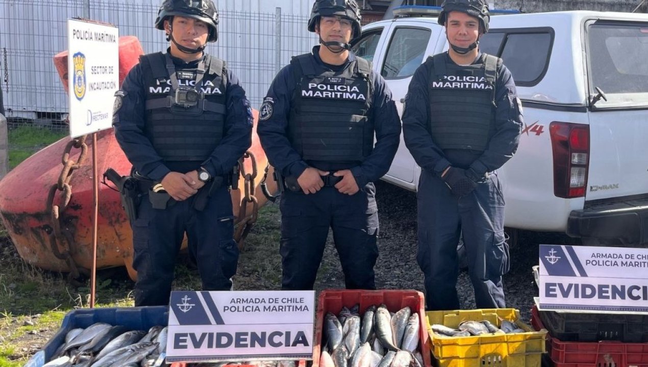 /regionales/region-del-biobio/coronel-policia-maritima-incauto-dos-toneladas-de-jurel-robado-y