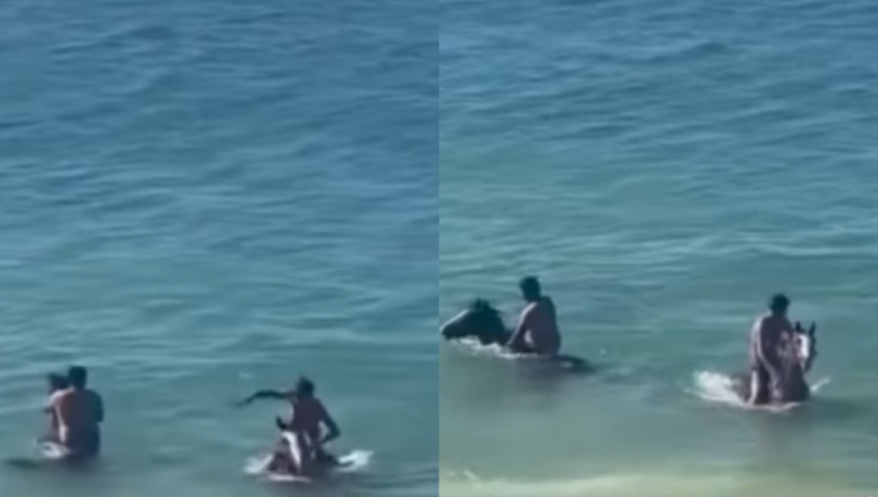 /regionales/captan-a-sujetos-golpeando-caballos-para-obligarlos-a-entrar-al-mar