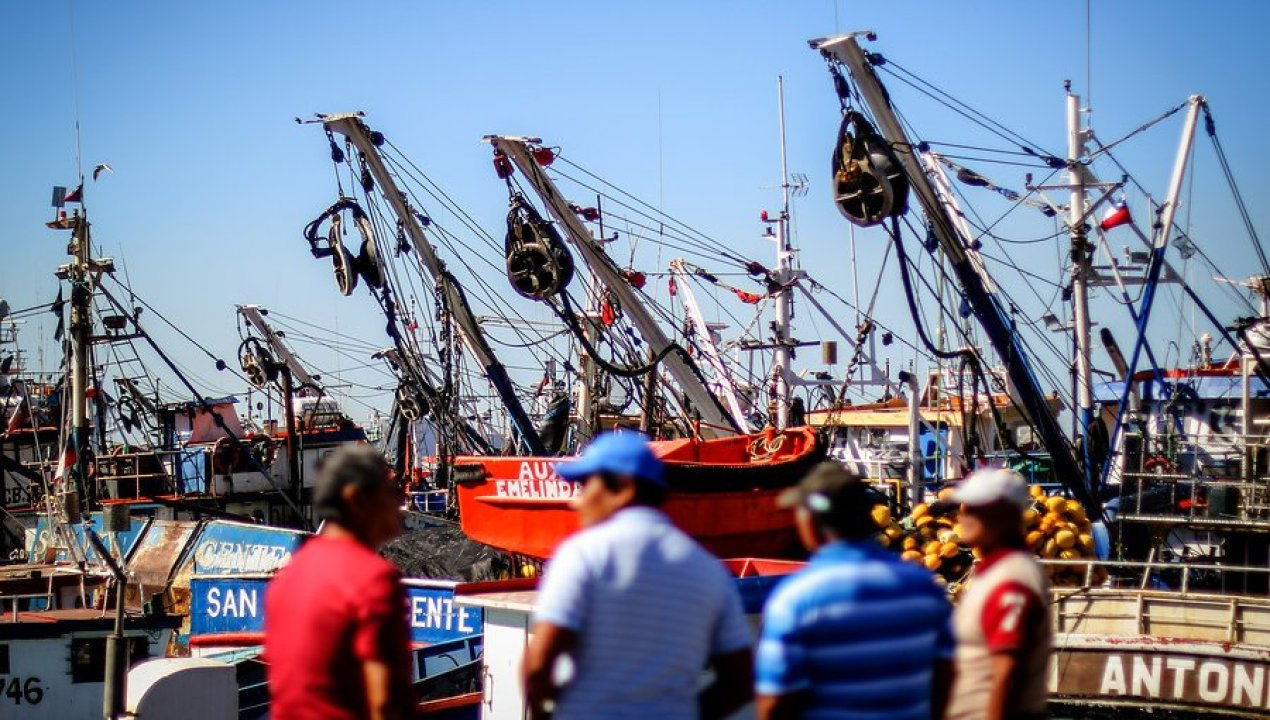 /actualidad/polemica-entre-expertos-y-subpesca-por-la-ley-de-fraccionamiento-pesquero