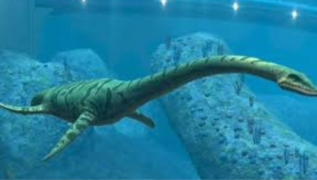 /descubren-la-primera-especie-de-plesiosaurio-jurasico-hallada-en-la-region